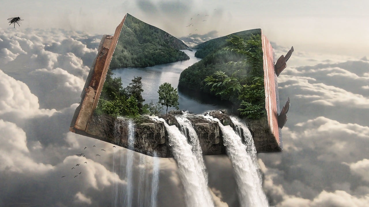 Photoshop vs. Illustrator: Which One Should You Master First?
