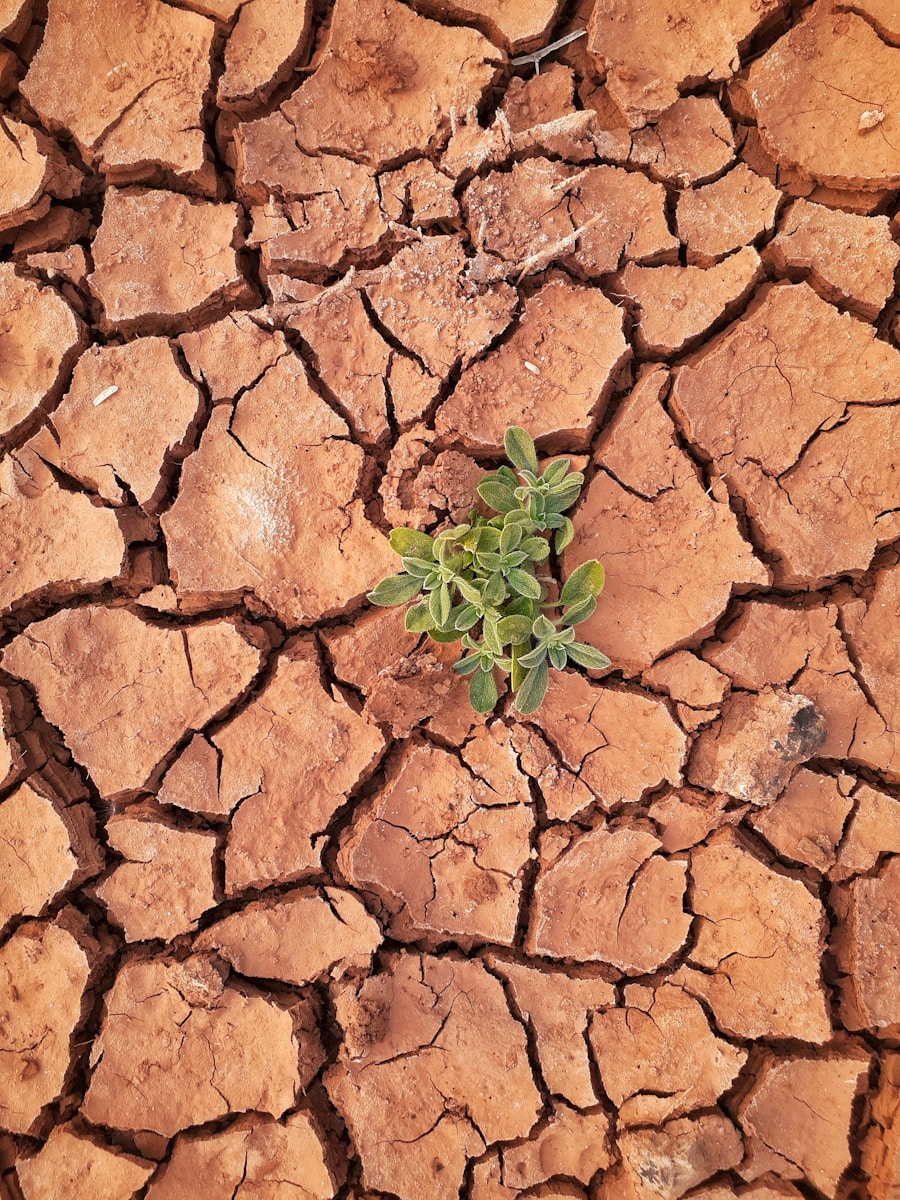 From Awareness to Action: How Does Earth Day Help Us Make Real Change? From Awareness to Action: How Does Earth Day Help Us Make Real Change?