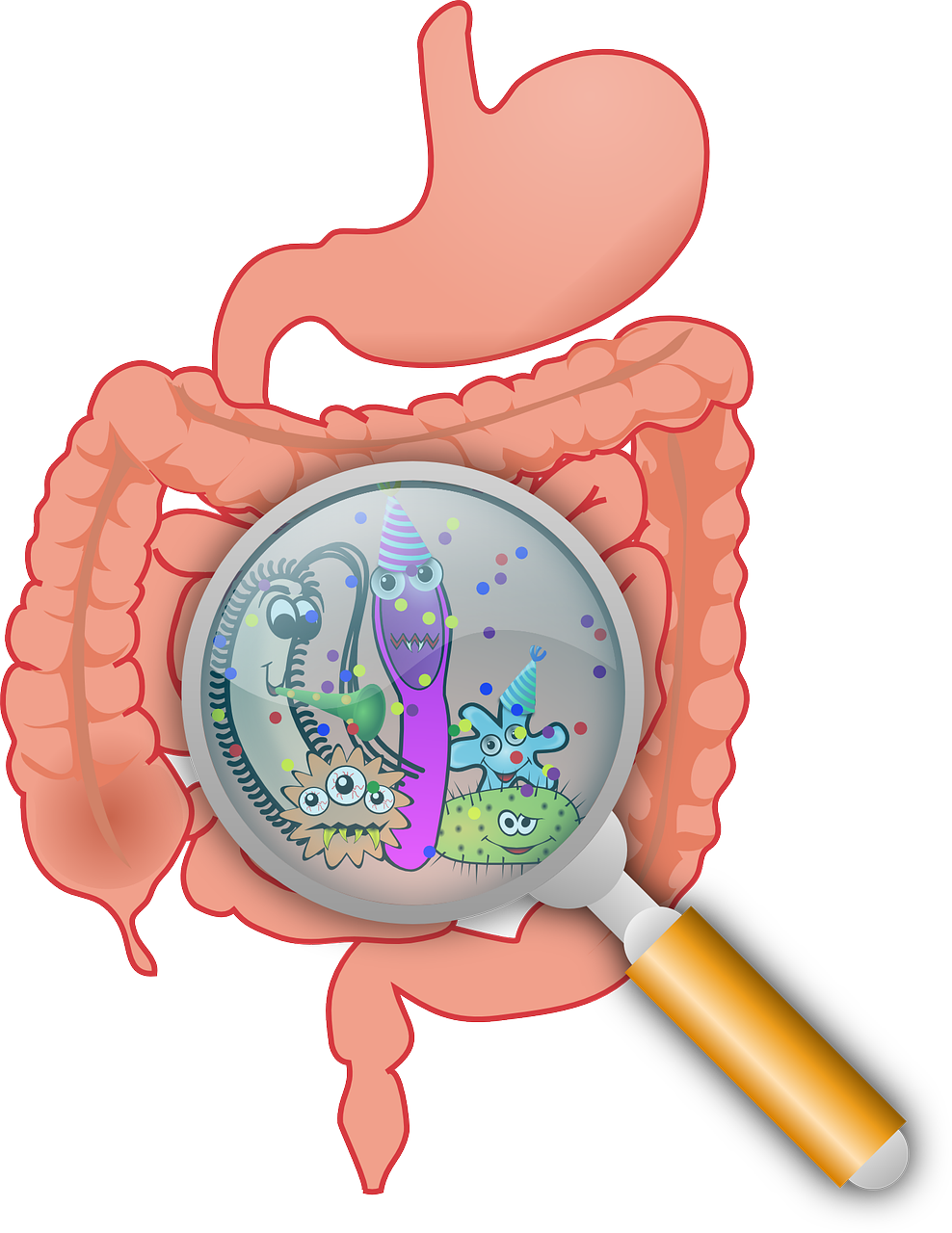 What’s Going on in Your Gut? Understanding the Symptoms of an Unhealthy Gut