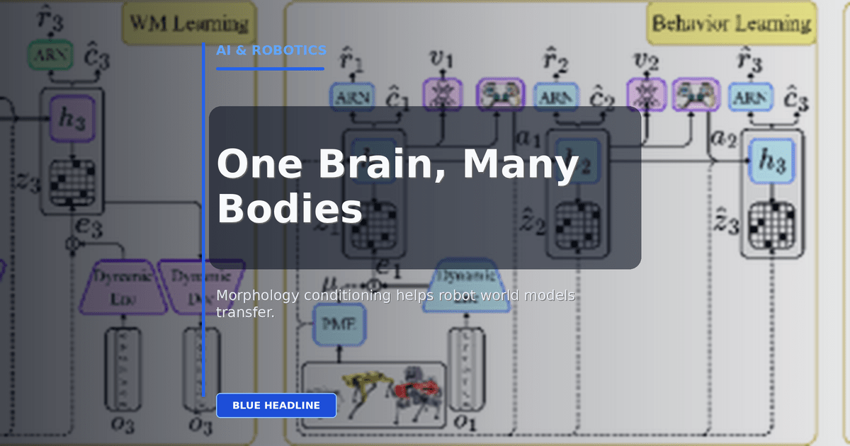 One Robot Brain, Many Bodies: Why Morphology-Conditioned World Models Matter