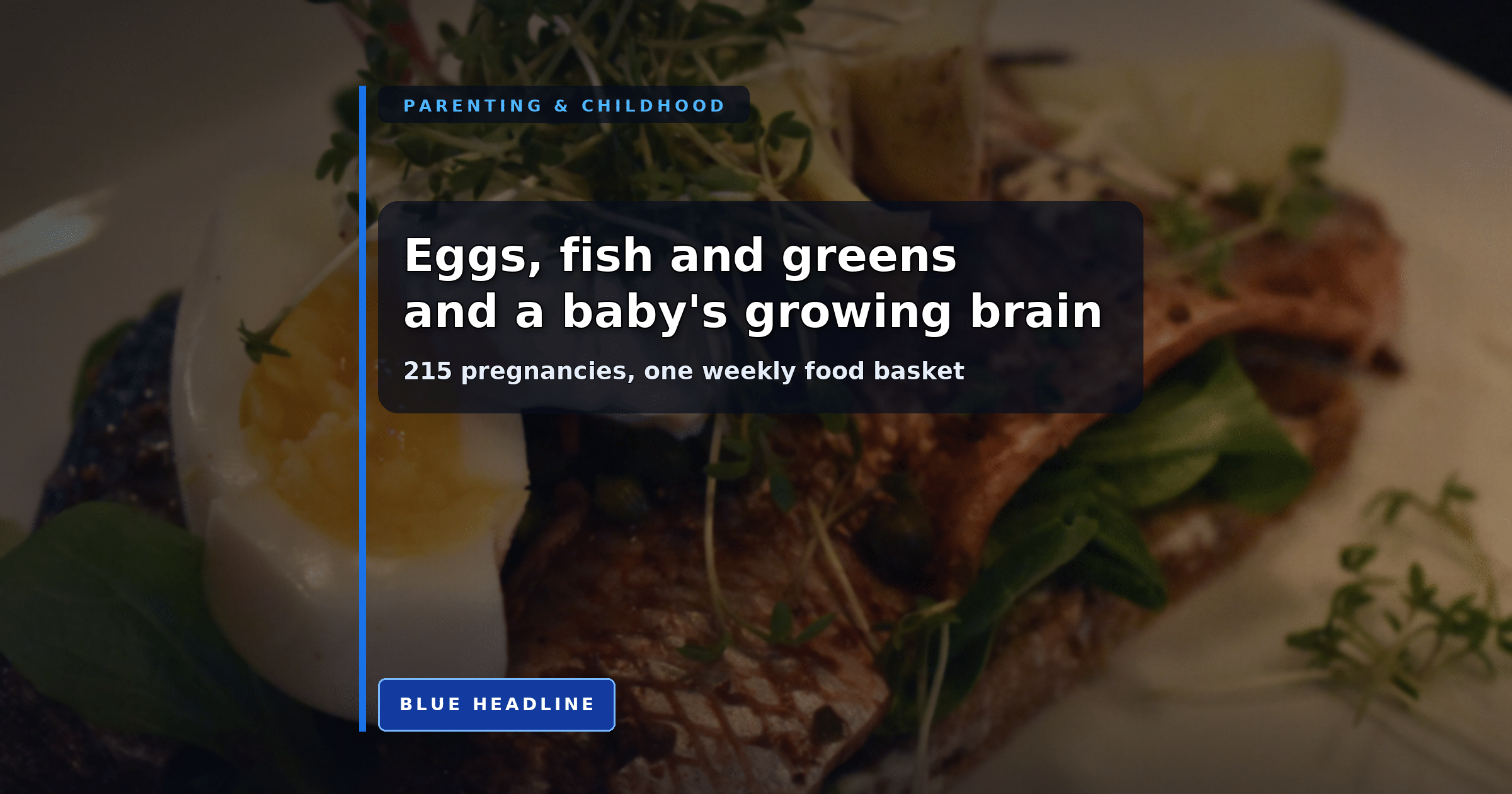 Pregnant Women Got Free Eggs and Fish. Parts of Their Babies’ Brains Grew More.