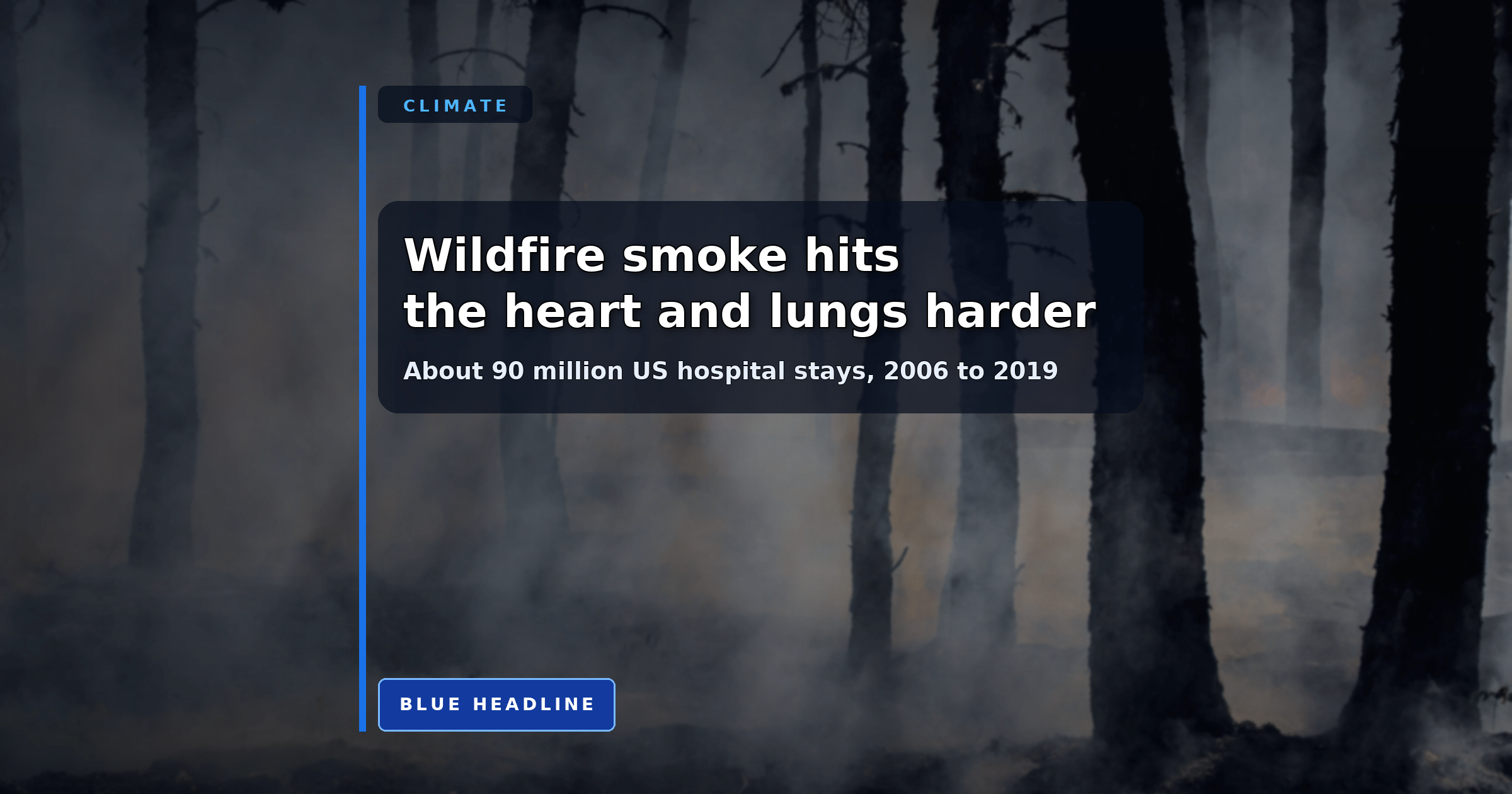 90 Million Hospital Stays Show Wildfire Smoke Hits the Heart and Lungs Harder