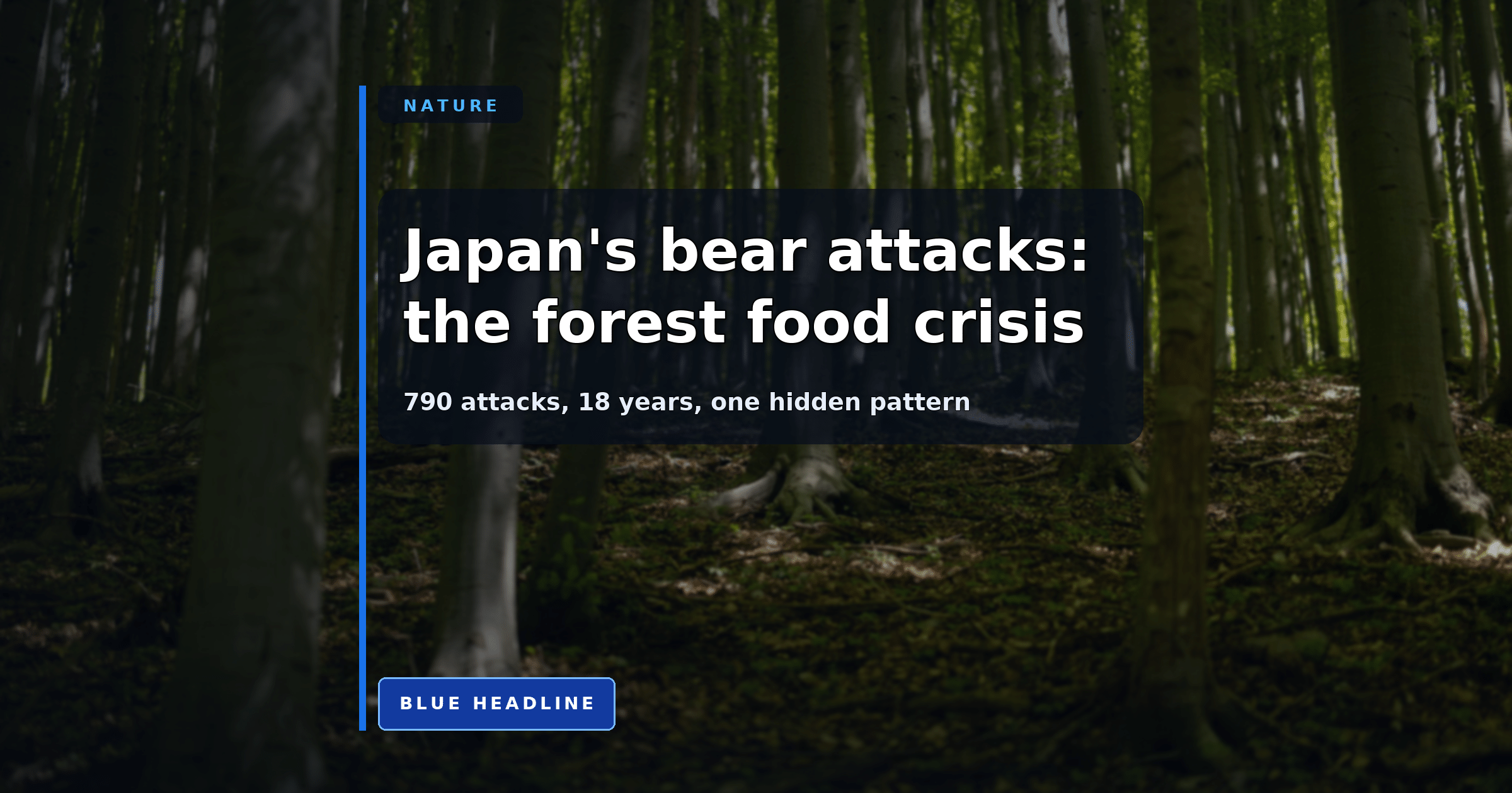 When Two Forest Foods Failed, Bear Attacks in Japan Nearly Quadrupled
